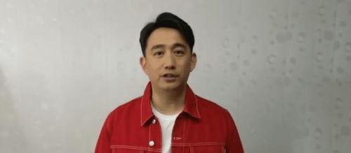 黄磊圈内人爆料了吗视频,揭秘娱乐圈不为人知的一面 第1张 黄磊圈内人爆料了吗视频,揭秘娱乐圈不为人知的一面 第1张